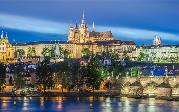 프라하, 체코 공화국, 강, 다리, 성 비투스 성당, 밤, 조명 배경 화면 그림