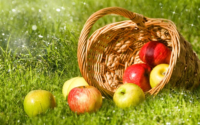 빨강 및 녹색 사과, 과일, 바구니, 잔디 배경 화면 그림