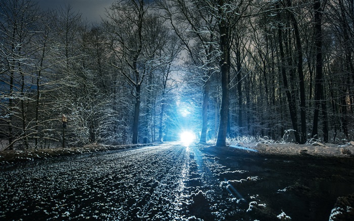 겨울도, 나무, 구멍, 눈, 빛 배경 화면 그림