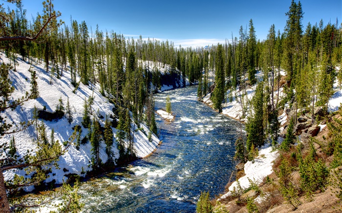 옐로 스톤 국립 공원, 미국, 숲, 나무, 강, 눈, 겨울 배경 화면 그림