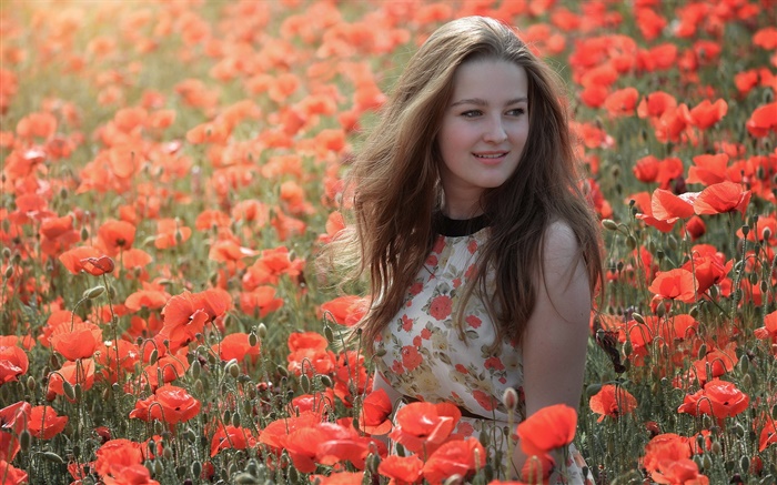 꽃 필드에서 소녀, 빨간 양 귀 비, 여름 배경 화면 그림