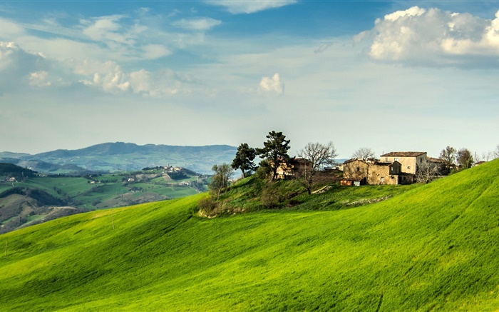 이탈리아, 경사, 잔디, 집, 나무, 구름 배경 화면 그림
