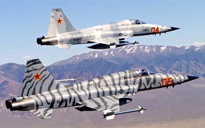 노스 롭 F-5 자유 전투기, 타이거 II 배경 화면 그림