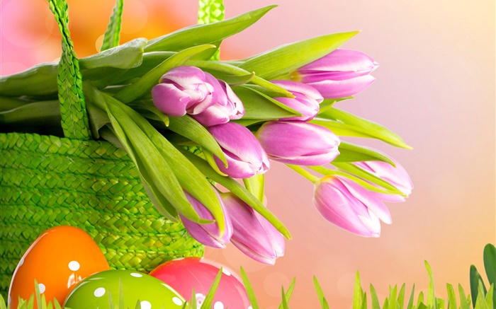 보라색 튤립, 꽃, 바구니, 부활절, 봄 배경 화면 그림