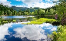 스코틀랜드, 영국, 녹지, 나무, 산, 호수, 물 반사