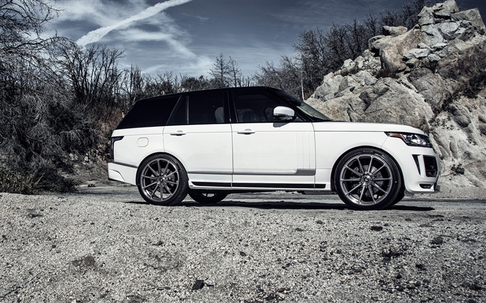 2015 랜드 로버 레인지 로버 흰색 자동차 측면보기 배경 화면 그림