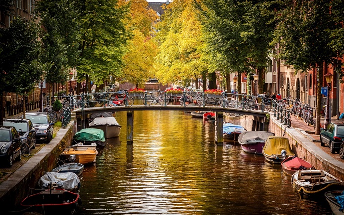 암스테르담, 네덜란드, 다리, 강, 배, 집, 나무, 가을 배경 화면 그림