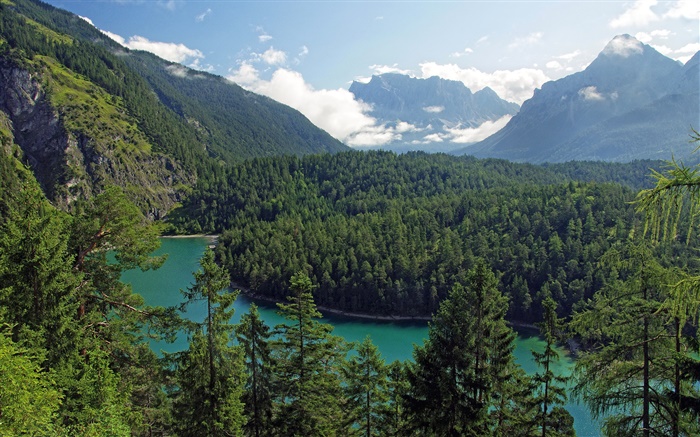 오스트리아, 티롤, 산, 숲, 나무, 강 배경 화면 그림