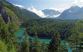 오스트리아, 티롤, 산, 숲, 나무, 강 HD 배경 화면