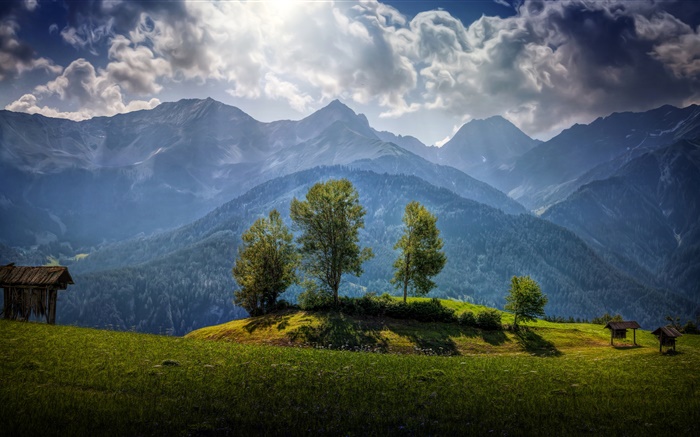 오스트리아, 산, 나무, 구름, 잔디 배경 화면 그림