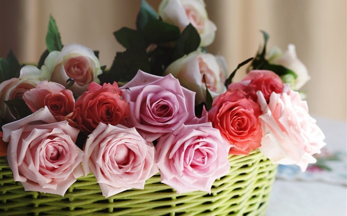 바구니, 장미, 핑크, 화이트, 레드 꽃 배경 화면 그림