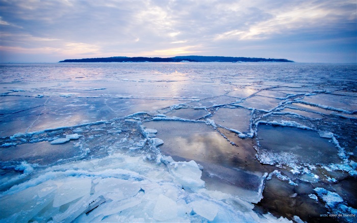 차가운 북극, 얼음, 눈, 바다, 황혼 배경 화면 그림