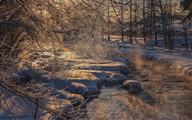 추운 겨울, 나무, 강, 두꺼운 눈 HD 배경 화면
