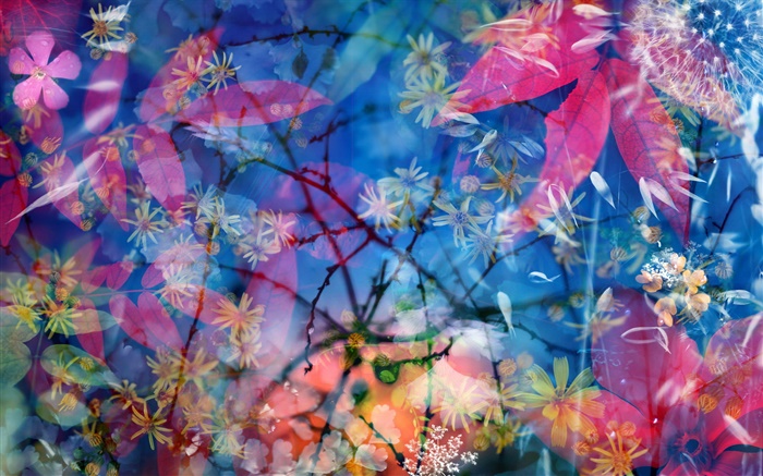 크리 에이 티브 디자인 사진, 꽃, 잎, 물, 나뭇 가지 배경 화면 그림