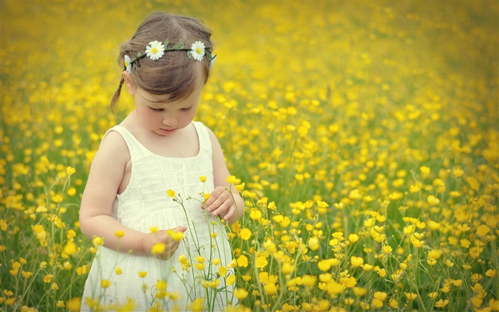 귀여운 여자 아이, 유채 꽃밭 배경 화면 그림