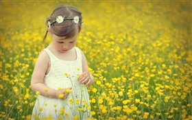 귀여운 여자 아이, 유채 꽃밭 HD 배경 화면