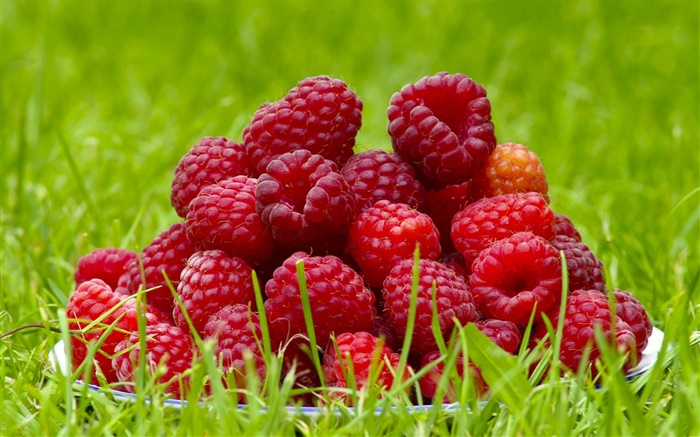신선한 나무 딸기, 붉은 열매, 잔디, 여름 배경 화면 그림