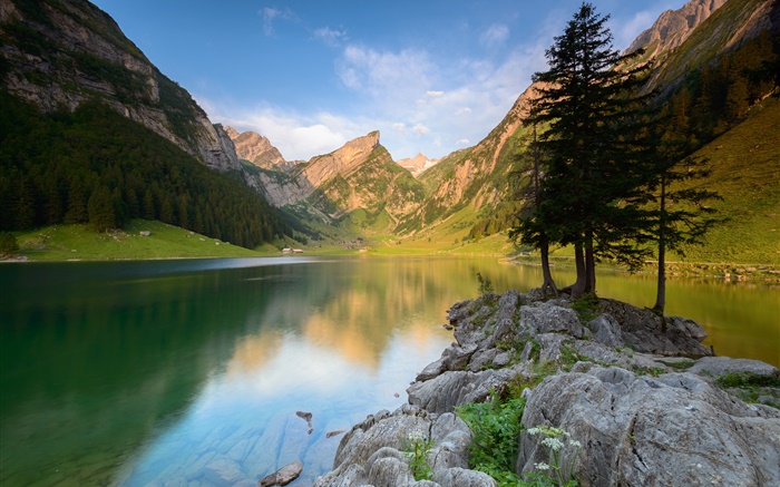 호수, 산, 나무, 돌, 여름 배경 화면 그림