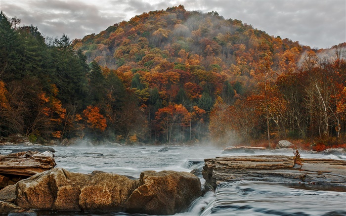 산, 하늘, 구름, 숲, 나무, 강, 돌, 가을 배경 화면 그림