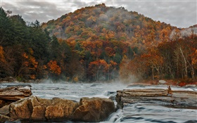 산, 하늘, 구름, 숲, 나무, 강, 돌, 가을 HD 배경 화면