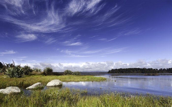 뉴질랜드, 호수, 바위, 잔디, 푸른 하늘, 구름 배경 화면 그림