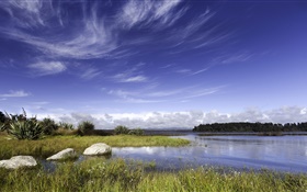 뉴질랜드, 호수, 바위, 잔디, 푸른 하늘, 구름 HD 배경 화면