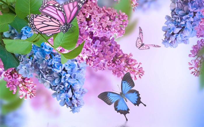 보라색 꽃, 라일락, 나비 배경 화면 그림