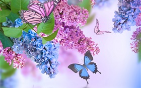 보라색 꽃, 라일락, 나비