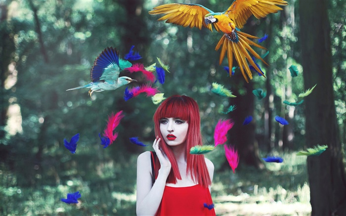 빨간 머리 소녀, 화려한 깃털, 조류, 창조적 인 사진 배경 화면 그림
