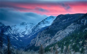 록키 마운틴 국립 공원, 콜로라도, 미국, 산, 나무 HD 배경 화면