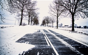 눈, 겨울, 도로, 나무, 전원 선, 집 HD 배경 화면