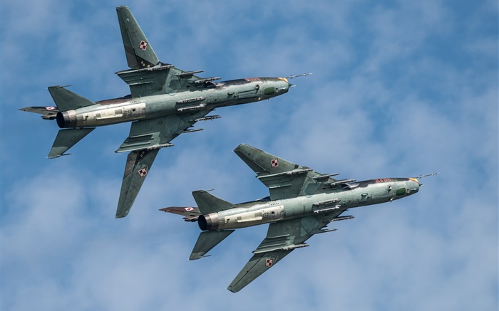 SU-22 전투기, 폭격기, 비행, 하늘 배경 화면 그림
