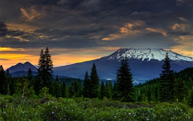 미국, 캘리포니아, 산, 나무, 구름, 황혼 HD 배경 화면