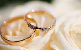 결혼 반지, 장미 꽃잎 HD 배경 화면