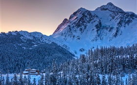겨울, 눈, 산, 나무, 황혼 HD 배경 화면