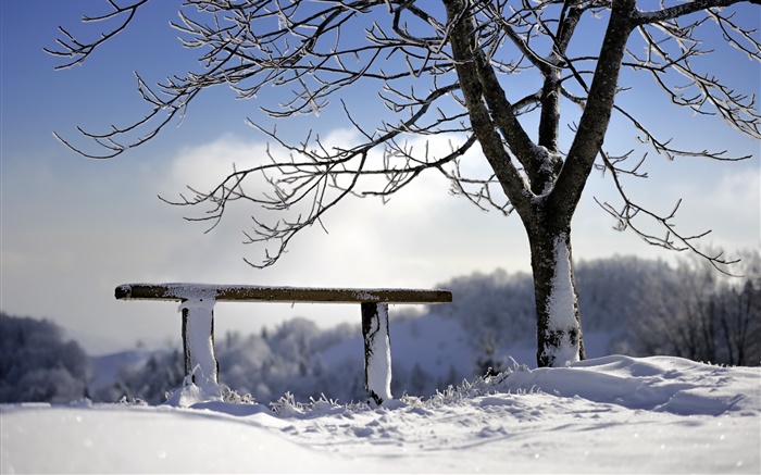 겨울, 눈, 나무, 벤치 배경 화면 그림