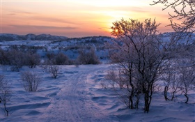 겨울, 눈, 나무, 일몰, 도로 HD 배경 화면