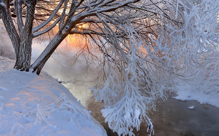 겨울, 두꺼운 눈, 나무, 나뭇 가지, 강, 일몰 배경 화면 그림