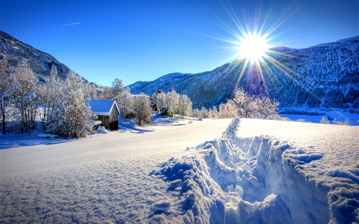 겨울, 두꺼운 눈, 나무, 집, 태양 배경 화면 그림