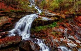 가을, 숲, 강, 스트림, 폭포, 단풍 HD 배경 화면