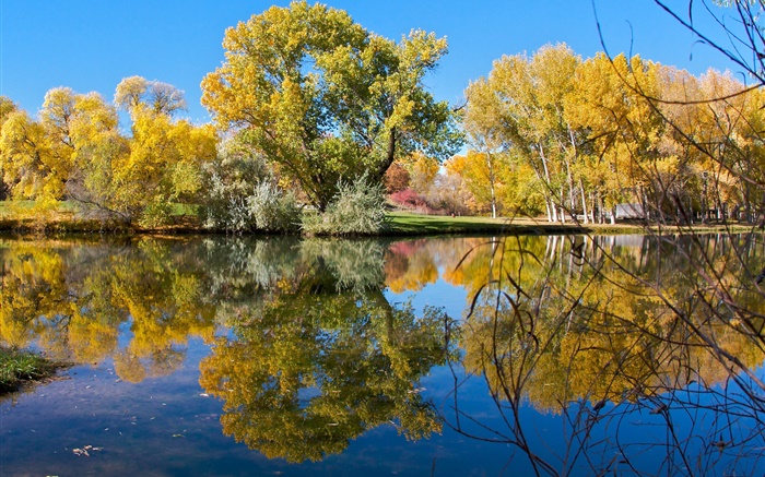 가을, 연못, 호수, 공원, 나무, 물 반사 배경 화면 그림