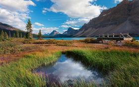 밴프 국립 공원, 앨버타, 캐나다, 호수, 산, 잔디, 구름 HD 배경 화면