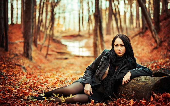 숲, 가을, 노란 잎에 검은 머리 소녀 배경 화면 그림