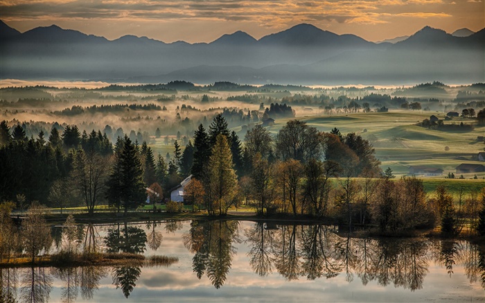 독일, 바이에른, 가을, 나무, 호수, 하우스, 안개, 아침 배경 화면 그림