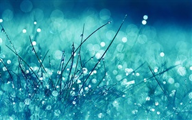잔디, 푸른 스타일, 비, 물, 눈부심 HD 배경 화면