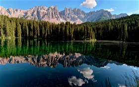 호수, 물 반사, 산, 숲 HD 배경 화면