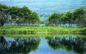 자연 풍경, 나무, 녹색, 강, 물 반사 HD 배경 화면