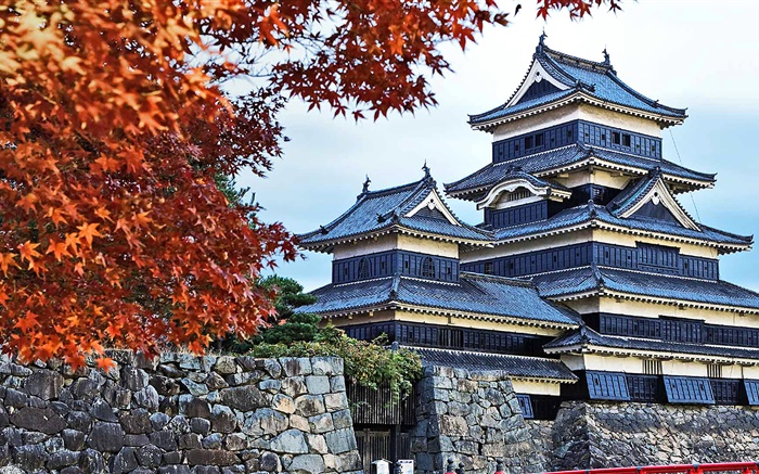 탑, 일본, 가을, 나무 배경 화면 그림