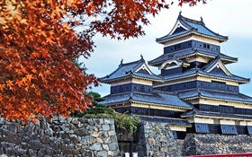 탑, 일본, 가을, 나무 HD 배경 화면