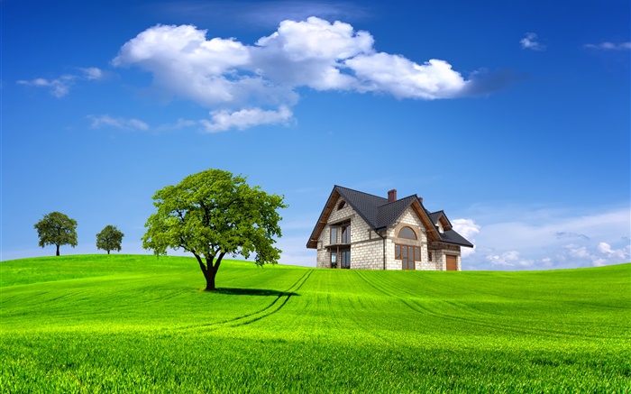 여름, 집, 나무, 필드, 푸른 잔디 배경 화면 그림